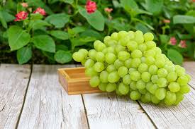 Grapes